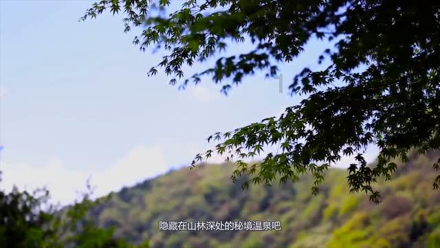 神都夜行录