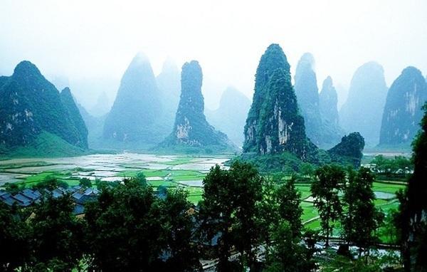 植物大战僵尸：花园战争