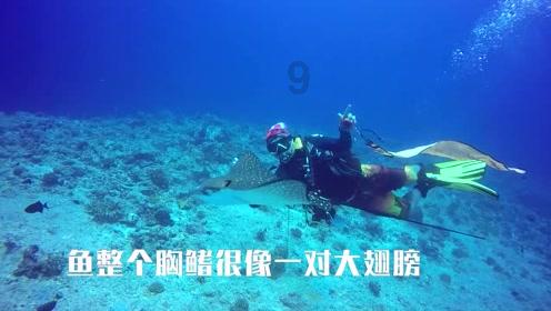 图说 | 1月26日开启“春运模式”，重庆交巡警有这些提示！