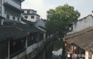 为什么别人抽烟，我一闻到烟味就鼻塞