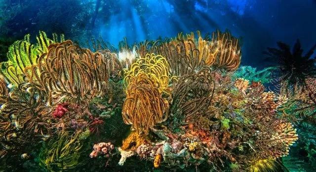 探索《与君歌》中,程若鱼是被谁打成重伤的呢?,开启知识星球交流平台